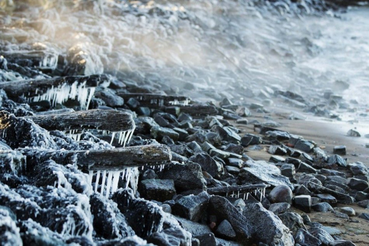 Ice forms on the shore of the East River due to unusually low temperatures caused by a polar vortex in New York January 7, 2014. REUTERS/Lucas Jackson