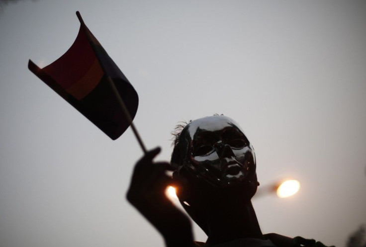 A gay rights activist holds a rainbow flag during a protest against a verdict by the Supreme Court in New Delhi December 15, 2013