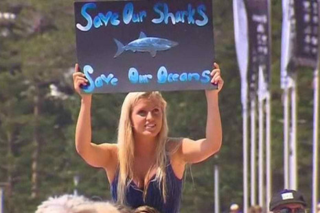 Animal Rights Activists Gather to Denounce Controversial Programme to Cull Sharks Off Coast of Western Australia. 