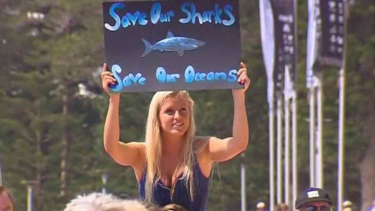 Animal Rights Activists Gather to Denounce Controversial Programme to Cull Sharks Off Coast of Western Australia. 