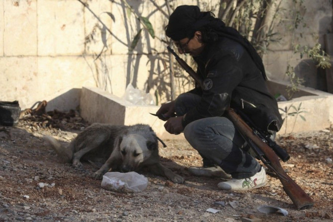 A Free Syrian Army fighter gives food to a dog in Aleppo's Sheikh Najjar Industrial City, March 5, 2014. REUTERS/Ammar Abdullah