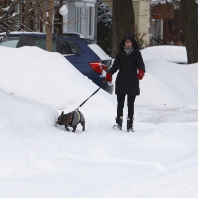 A resident walks her dog over a snow-covered sidewalk following an overnight snow storm in Toronto, Ontario.