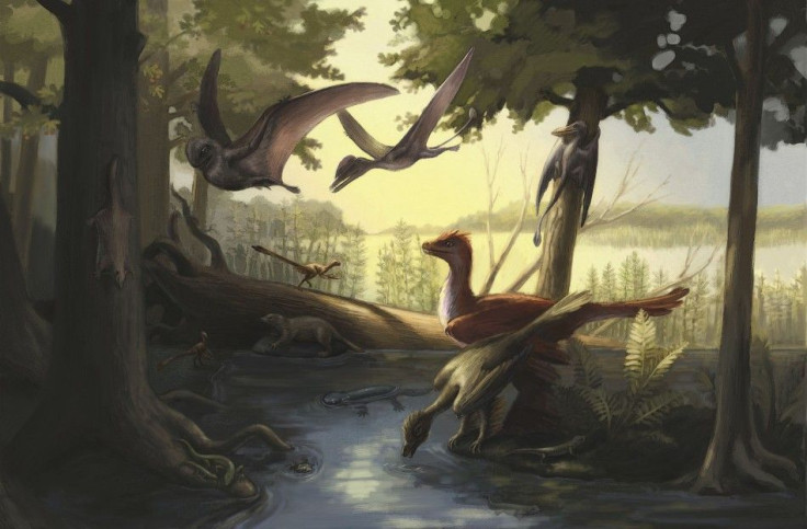 A reconstruction of the Daohugou fauna in northeastern China during the Jurassic Period, featuring feathered dinosaurs, pterosaurs, early mammals and amphibians is pictured in this handout artist's illustration obtained by Reuters March 6, 2014.  A s
