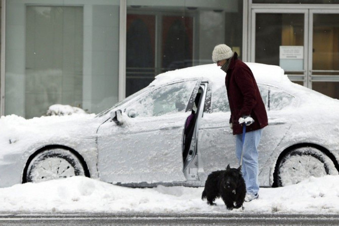 A woman, along with her dog, assesses her ice and snow encrusted car on a side street in Washington March 17, 2014. 