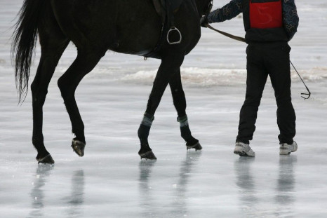A rider and his horse walk along the surface of the frozen Yenisei River during the 44th Ice Derby amateur horse race near the settlement of Novosyolovo, some 250 km (155 miles) south of the Siberian city of Krasnoyarsk, March 15, 2014. The Ice Derby has 