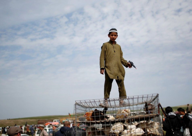 A boy holding a toy pistol stands a cage containing chickens for sale near the venue of an election campaign by Afghan presidential candidate Ashraf Ghani Ahmadzai in Kunduz province