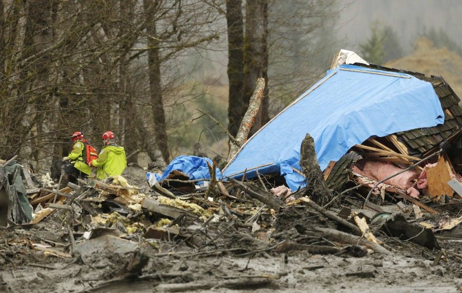 Washington Mudslide Update: Family Dog Survived And Gets Rescued