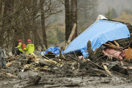 Workers look for victims in the mudslide near Oso, Washington March 25, 2014.