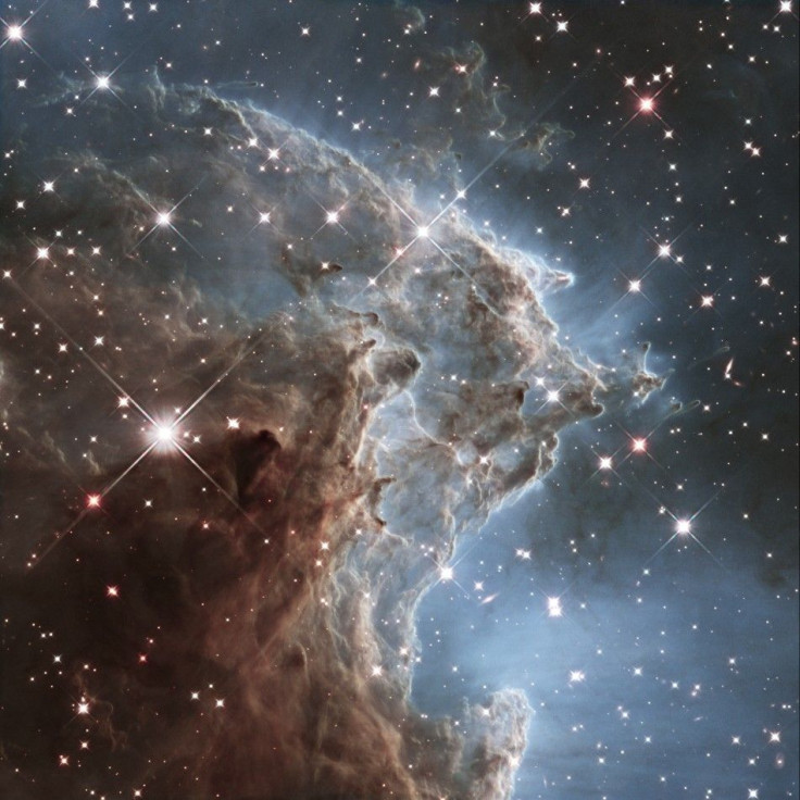 A churning region of star birth in NGC 2174, also known as the Monkey Head Nebula, about 6400 light-years away in the constellation of Orion (The Hunter) is pictured in this handout infrared image mosaic from the NASA/ESA Hubble Space Telescope