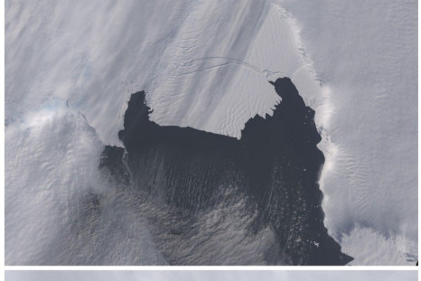 The B-31 Iceberg is seen before, (top) on October 28, 2013 and after separating on November 13, 2013, from a rift in Antarctica&#039;s Pine Island Glacier in this NASA Earth Observatory handout image. Scientists are monitoring an unusually large iceberg -