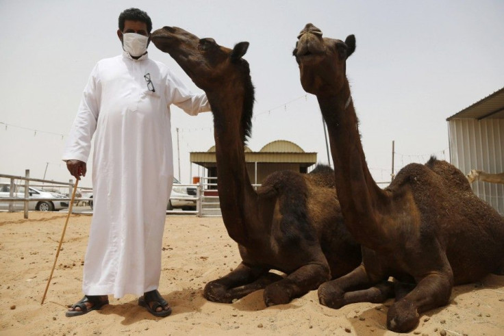 A man wearing a mask poses with camels at a camel market in the village of al-Thamama near Riyadh 