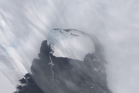 antarctica glaciers reuters