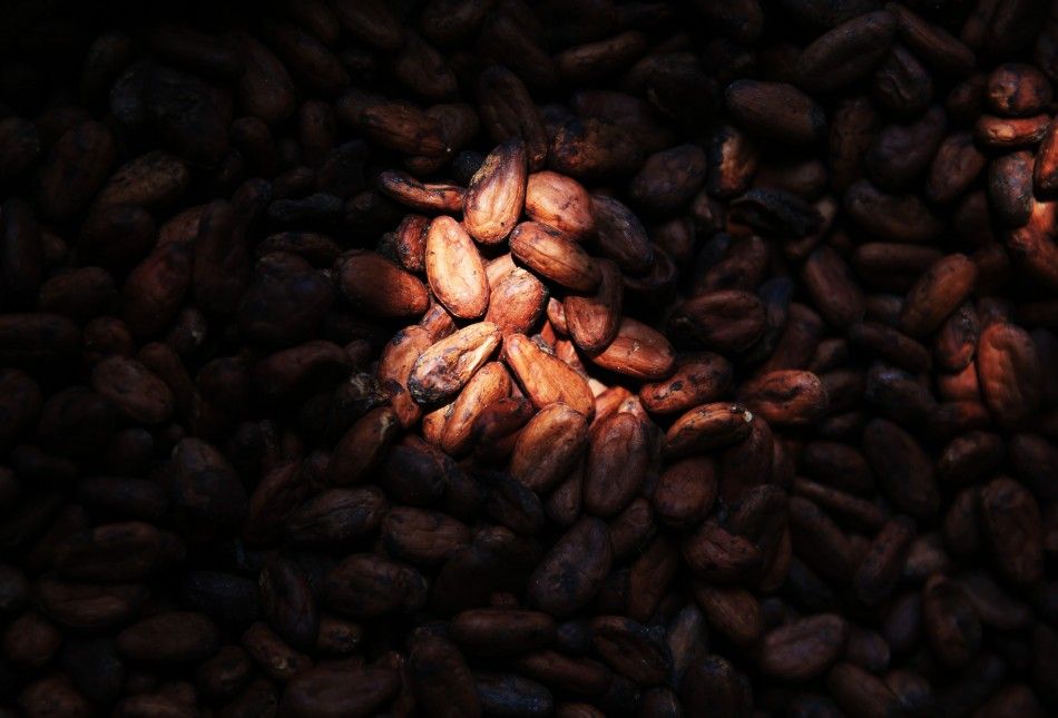 Cocoa beans are seen at PT Bumitangerang Mesindotama, Indonesias largest cocoa grinder in Tangerang, April 29, 2014. A multi-million dollar expansion by international cocoa grinders in Indonesia is facing a steep supply shortfall of cocoa beans, fuelling