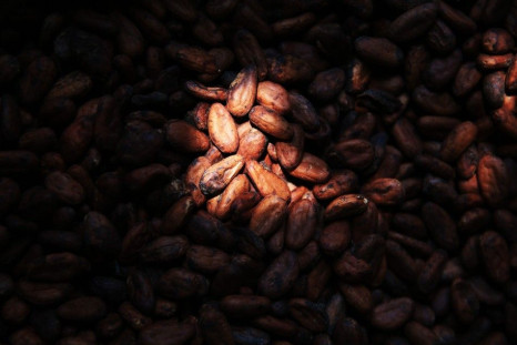 Cocoa beans are seen at PT Bumitangerang Mesindotama, Indonesia's largest cocoa grinder in Tangerang, April 29, 2014. A multi-million dollar expansion by international cocoa grinders in Indonesia is facing a steep supply shortfall of cocoa beans, fuelling