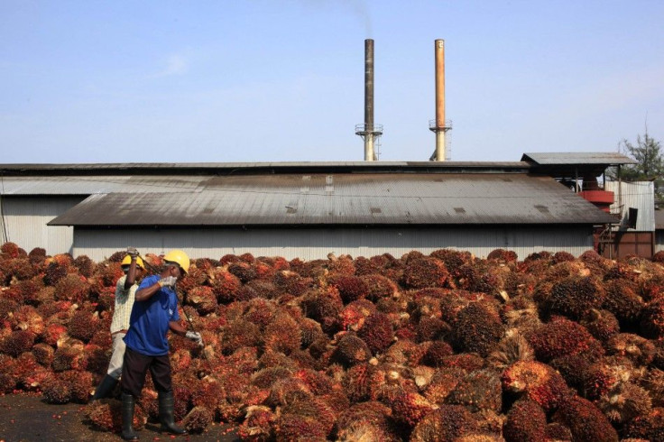 Workers collect palm oil fruits inside a palm oil factory in Sepang, outside Kuala Lumpur, in this February 18, 2014 file photo. China's refined palm oil imports could be hit as buyers struggle for funding, the latest casualty in Beijing's crackdown on co