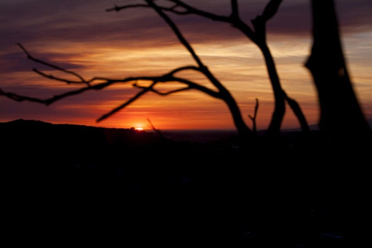 The sun sets behind a scorched tree from the Cocos Fire in San Marcos, California May 15, 2014. A towering wall of flames charged a hillside California community on Thursday as firefighters battled fierce wildfires that have forced 125,000 people to flee 