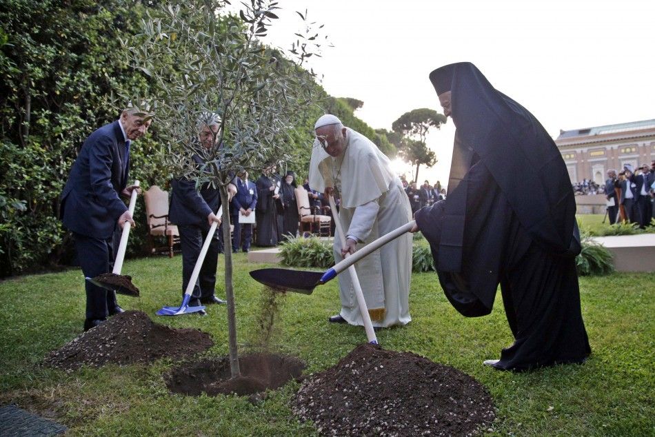 L-R Israeli President Shimon Peres, Palestinian President Mahmoud Abbas, Pope Francis and Orthodox Patriarch Bartholomew I plant an olive tree saplings as a gesture of peace after a prayer meeting at the Vatican June 8, 2014. REUTERSMax Rossi