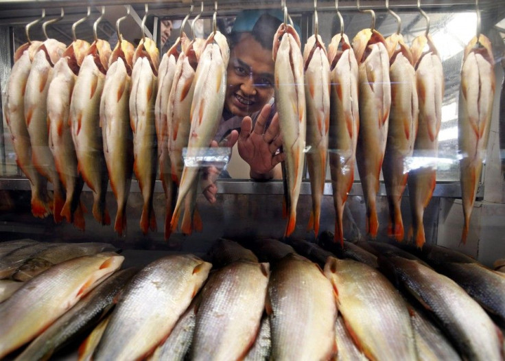 A fishmonger shows off his river fish to World Cup tourists at the port market in Cuiaba