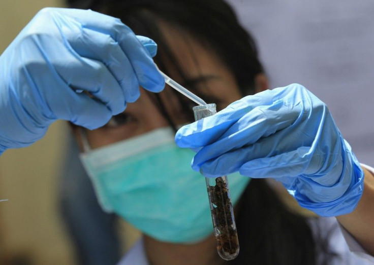 A Philippine Drug Enforcement Agency (PDEA) chemist tests confiscated marijuana leaves during the destruction of confiscated illegal drugs in Trece Martires town, Cavite, south of Manila June 25, 2014.