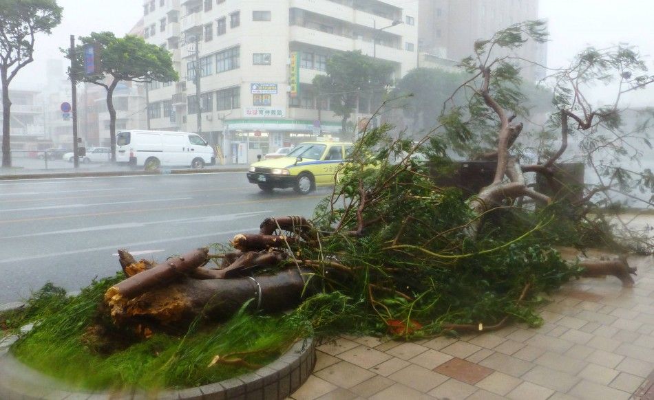 A roadside tree which collapsed due to strong winds caused by Typhoon Neoguri is seen in Naha, on Japans southern island of Okinawa, in this photo taken by Kyodo July 8, 2014. One man died, more than 500,000 people were urged to evacuate and hundreds of 