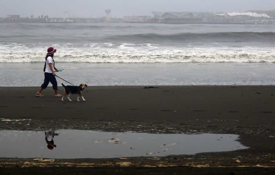 A woman walks with her dog by the seaside as tropical storm Neoguri approaches at Shichirigahama beach in Kamakura, south of Tokyo July 11, 2014. Heavy rain battered a wide swathe of Japan on Thursday, sending rivers over their banks and setting off a lan