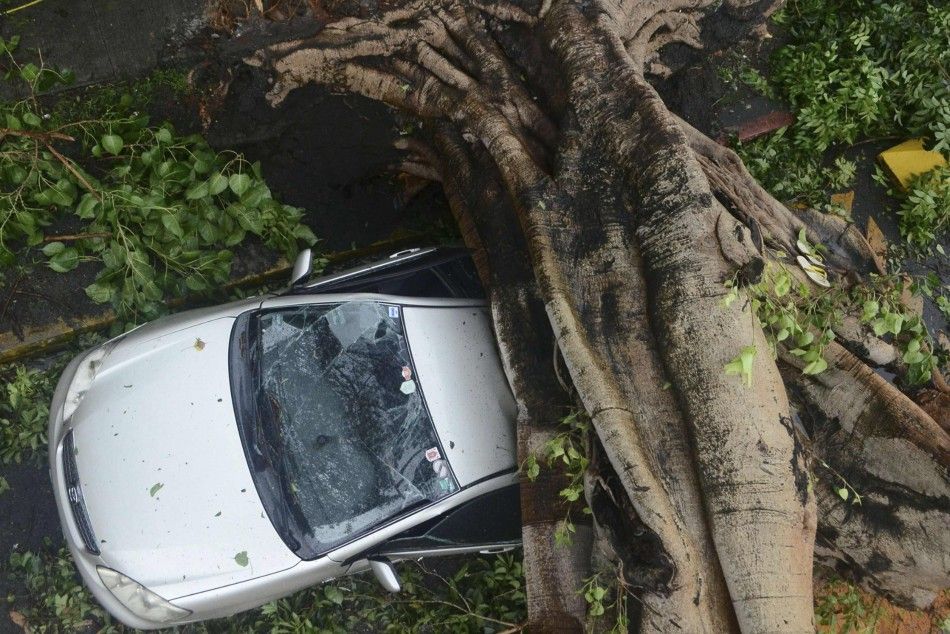 A huge tree crushes a car during the onslaught of Typhoon Rammasun, locally named Glenda that hit Makati city in Manila July 16, 2014. The typhoon killed at least 10 people as it churned across the Philippines and shut down the capital, cutting power an