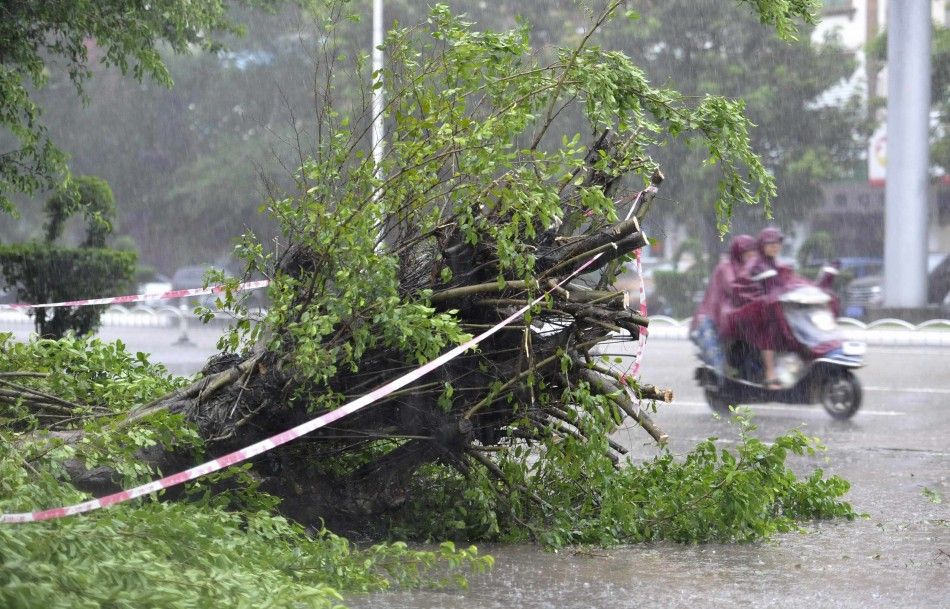 Residents ride an electric bicycle past a fallen tree against strong wind and heavy rainfall as Typhoon Rammasun hits Zhanjiang, Guangdong province July 18, 2014. A super typhoon slammed into China on Friday killing one person, as the government ordered a