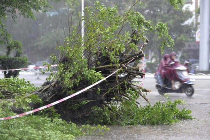 Residents ride an electric bicycle past a fallen tree against strong wind and heavy rainfall as Typhoon Rammasun hits Zhanjiang, Guangdong province July 18, 2014. A super typhoon slammed into China on Friday killing one person, as the government ordered a