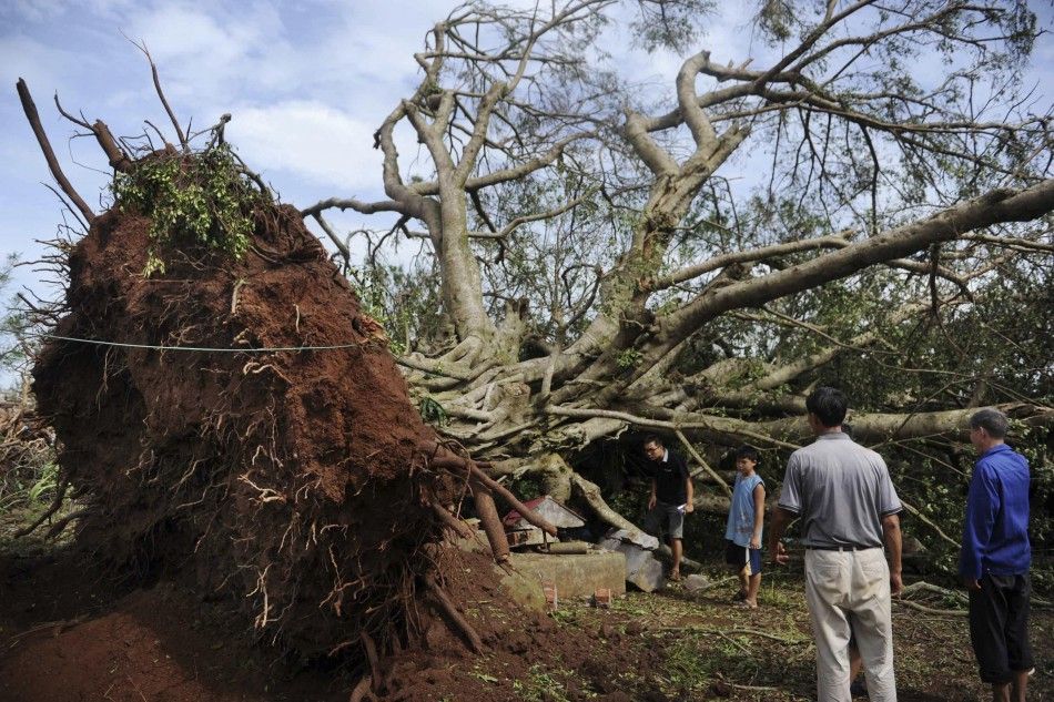 Residents look at a fallen tree after Typhoon Rammasun hit Longtang township of Zhanjiang, Guangdong province July 19, 2014. A super typhoon has killed at least fourteen people in China since making landfall on Friday afternoon, state media said on Saturd