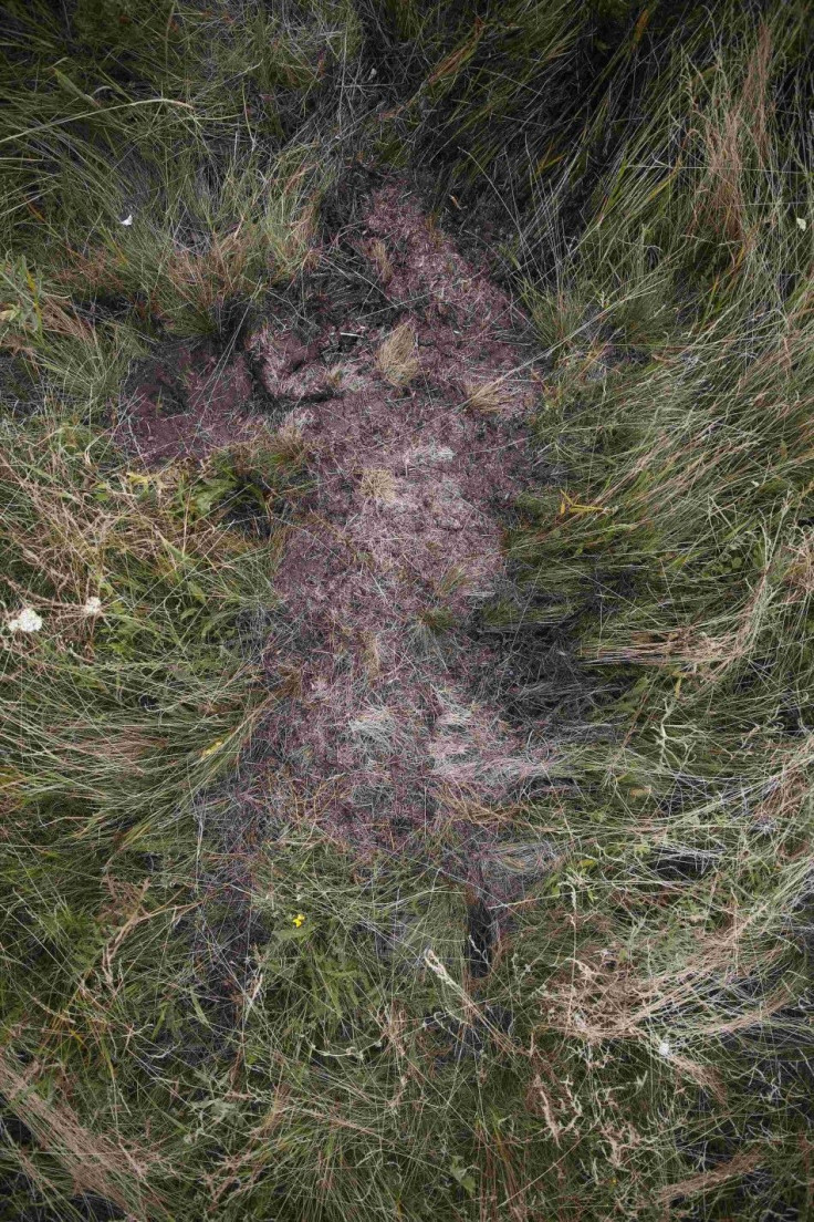 An imprint of where a body used to lie on the ground is seen at a crash site of the Malaysia Airlines Flight MH17 near the village of Hrabove (Grabovo), Donetsk region July 21, 2014. REUTERS/Maxim Zmeyev 