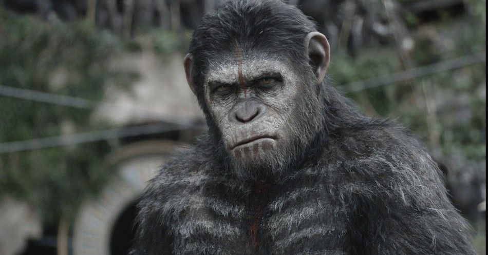 dawn of the planet of the apes box office gross