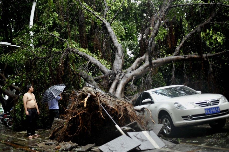 Men look at a fallen tree atop a car after heavy rainfall as Typhoon Matmo lands on Taiwan, in Fuzhou, Fujian province, July 23, 2014. Typhoon Matmo slammed into Taiwan on Wednesday with heavy rains and strong winds, shutting financial markets and schools