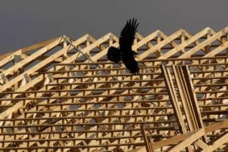A crow flies past a partially built roof in the outer suburb of Craigieburn in Melbourne