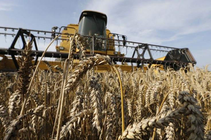 A French farmer drives his combine as he harvests wheat in a field in Oisy-le-Verger, near Douai, northern France, July 18, 2014. Western Europe is heading towards a hefty wheat harvest this year but concerns are mounting that a large share of it will fai