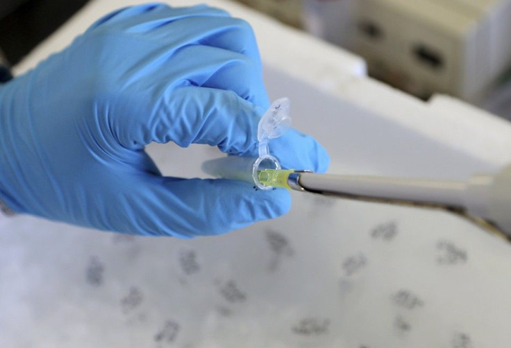 A researcher extracts a protein sample at the University of Louvain's Institute of Experimental and Clinical Research in Brussels