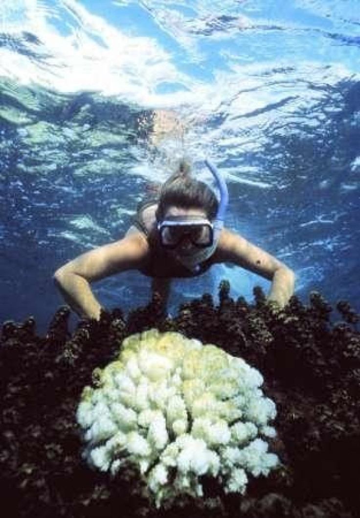 Great Barrier Reef Under Threat
