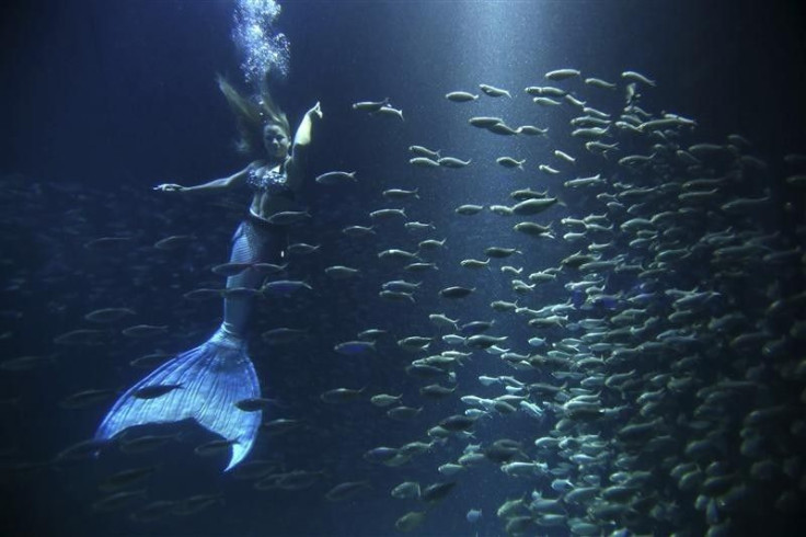 Mermaid swims in a tank