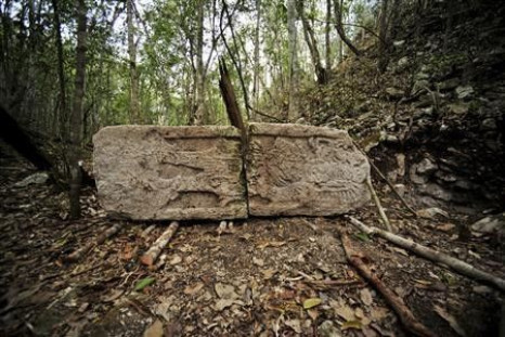 A sculpted stone shaft called stelae is pictured at the newly discovered ancient Maya city Chactun in Yucatan peninsula in this May 31, 2013 handout picture by National Institute of Anthropology and History (INAH) made available to Reuters June 18, 2013.