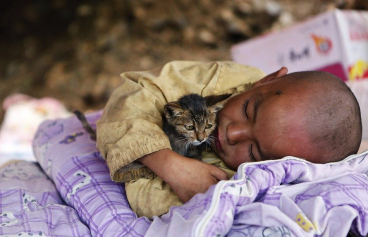 A child, cuddling a cat, rests under a shelter at the earthquake zone in Ludian county, Zhaotong