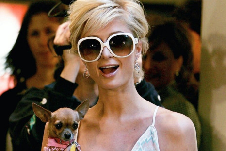 Paris Hilton Seen Here With Her Pup Tinkerbell/ File photo/REUTERS/Shannon Stapleton