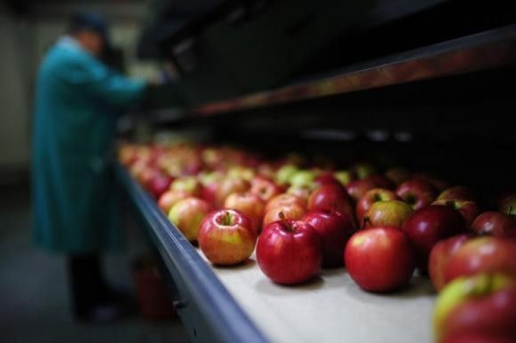 Apples are seen at RAJPOJ company, near Grojec August 4, 2014