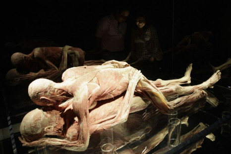 Plastinated human bodies in a position simulating sexual intercourse are seen at the &quot;Body Worlds&quot; exhibition by Gunther von Hagen at the Universum Museum in Mexico City August 14, 2012. Von Hagen is a German anatomist who invented plastination,