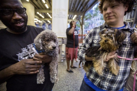Volunteers hold rescued dogs for blessing at St. Patrick's Cathedral in New York September 30, 2014. Timothy Cardinal Dolan commemorated the feast of St. Francis Assisi, the Roman Catholic patron saint of animals, by blessing shelter and rescued anim
