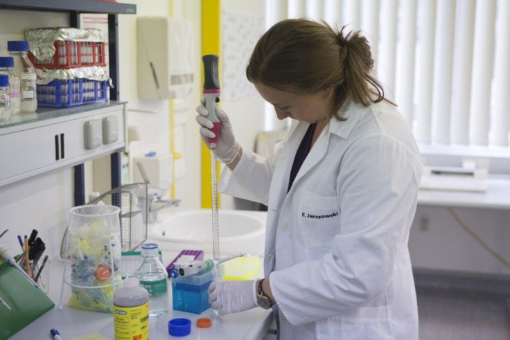 A laboratory technican of the company Icon Genetics prepares proteines from Tobacco plants (Nicotiana benthamiana) for weighing in a laboratory in Halle, August 14, 2014. Icon Genetics develop a technology to mass produce Ebola vaccine with the help of to