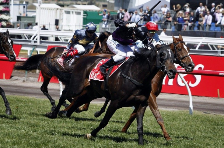 Favourite Fiorente (front) runs to win the A$6 million ($5.7 million) Melbourne Cup at Flemington Racecourse in Melbourne November 5, 2013. Red Cadeaux was second with Mount Athos third in the 153rd running of the two-mile handicap, Australia's richest th