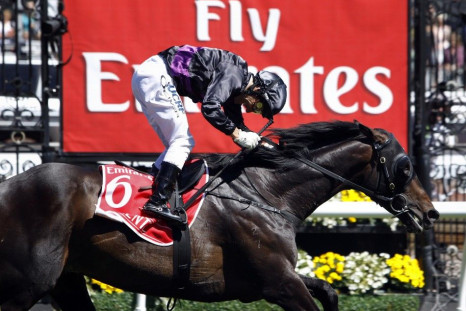 Jockey Damien Oliver crosses the finish line to win the 2013 Melbourne Cup