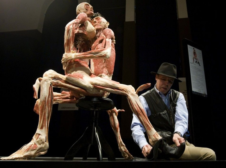 German anatomy professor Gunther von Hagens removes a boot from one of two plastinated human specimens arranged in love-making posture during the exhibit's unveiling at the current &quot;Body Worlds&quot; show in Berlin June 20, 2009.