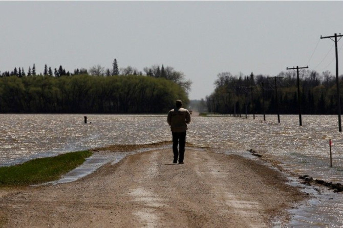A man looks at a flooded farm field from a deliberate breach of a dike on the Assiniboine River near Newton, Manitoba