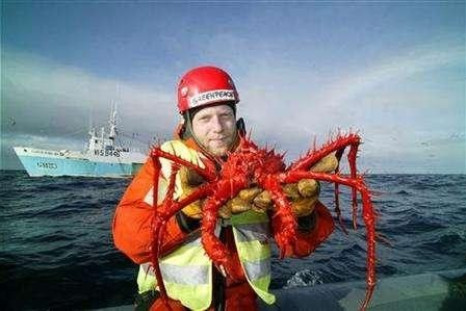 Saving the Crabs