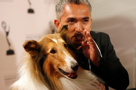 Dog trainer Cesar Millan